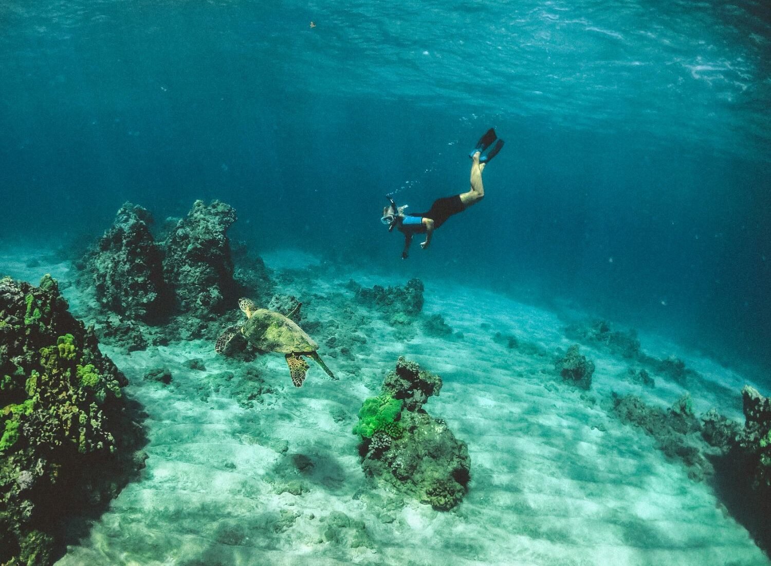 Rota das praias secretas e snorkeling